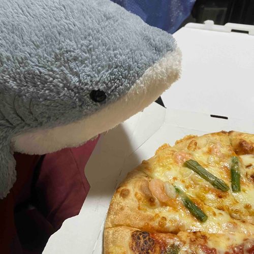 エビ、イカ、発見🦈💙