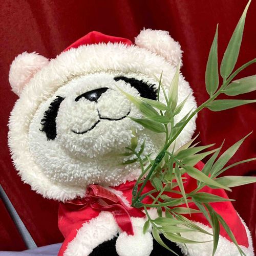 Happinessなクリスマスをすごしました🎅🌿‬💕