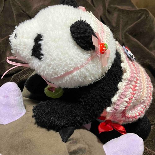 さいきん おしゃれに めざめました✨🐼