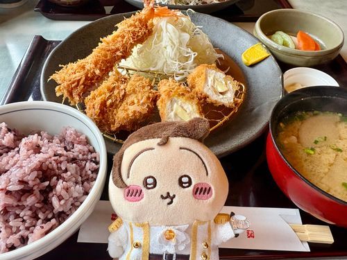 プルャ王子と、とんかつ屋さん♪
🍚おかわり自由は最高の言葉ですな( ˇωˇ )