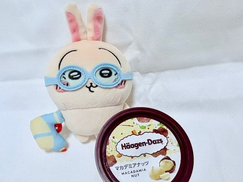 🍨アイスクリームの日🍦