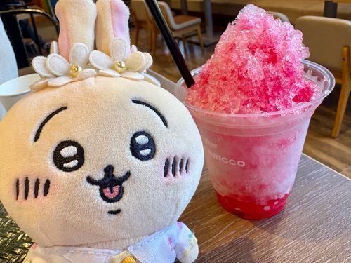かき氷🍧