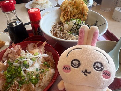 ジョイフル
おろしぶっかけそば、かき揚げも乗っててめっちゃ美味しかった!!
セットのしらすごはんも美味しかった(≧∇≦)b