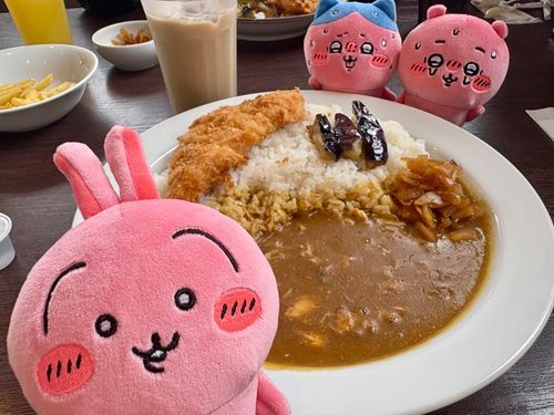 ココイチ🍛
期間限定のササミフライ、めっちゃサクサクで爆裂美味しかった!!
カレー最高(*｀ω´)b