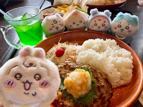 びくドン!!
びくドンのハンバーグってなんでこんなに美味しいんだろう!!
