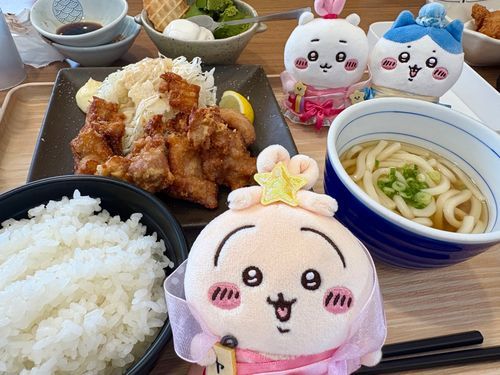 夢庵①
カルビ丼も、ローストビーフ丼も気になるのに、結局唐揚げ定食頼んじまうよ!!