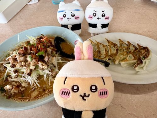 今日はラーメンの日🍜らしいよ♪
くるまやラーメンのごま味噌担々麺、めっちゃ久しぶりに食べたけどサイコーだった‪🫶
餃子🥟もここのが1番好き♡
