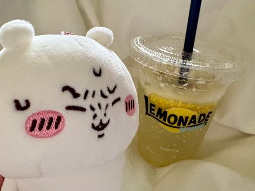暑すぎるッ!!

すき家のレモネードスカッシュ🍋