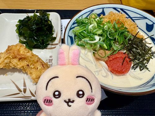今日のランチは丸亀製麺✨️
やっぱり、冷やし明太クリームうどん最高
(*｀ω´)b