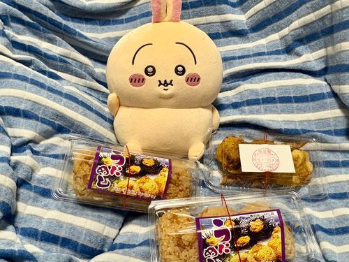 秋の九州物産展🍁
うにのおにぎりと、手羽餃子買ったよ♪
