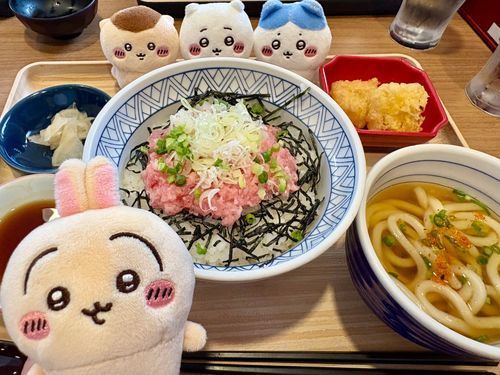 久しぶりに夢庵✨️
夢庵のねぎとろ、めっちゃ美味しくて最高なんだよね～!!
奥の天ぷらは、お餅だよ☆