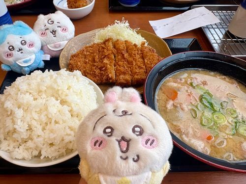かつや
今日から23日まで🍚大盛り無料だよ～!!
かつやのとん汁ホント美味しい(っ ॑꒳ ॑c)♡