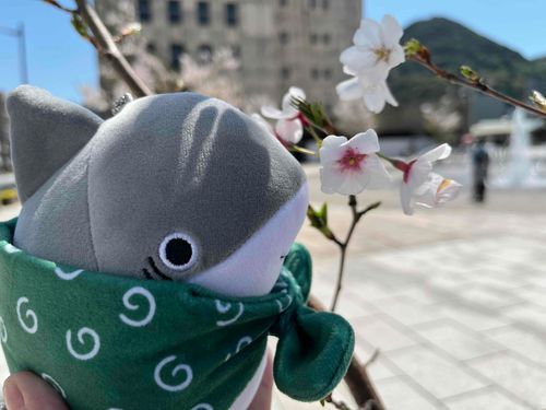 かね「こいつは、こザメ！
みんなよろしくな！」
ザメ「はじめてのさくらゼメ！鼻がないけどなんだかムズムズするザメ」
