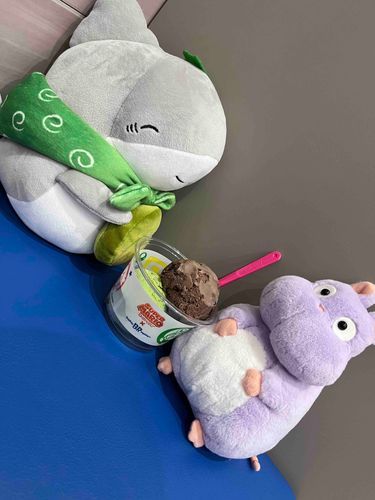 今日は、ごしゅじんさまがアイスをくれたチュウ！つめたいすぎチュウ🐭
あと、おともだちのごザメちゃんとおでかけしたでチュウ！