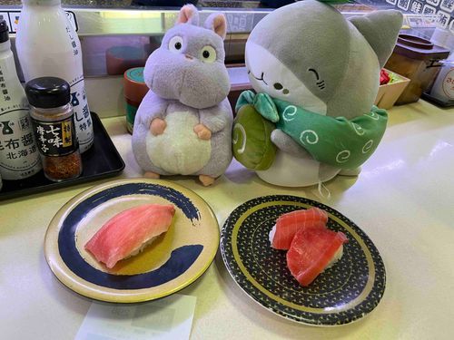 おすしだチュウ🍣
はじめておすしザメ