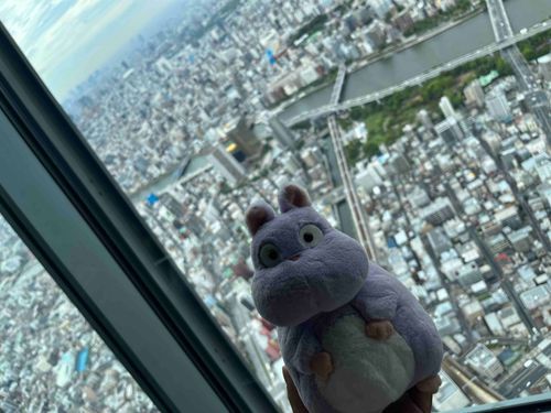 スカイツリーでちゅ。
ものがちいさくみえたちゅ。