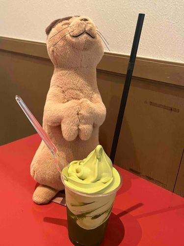 あたらしいおともだち！
ナトルだ！よろしくなー！