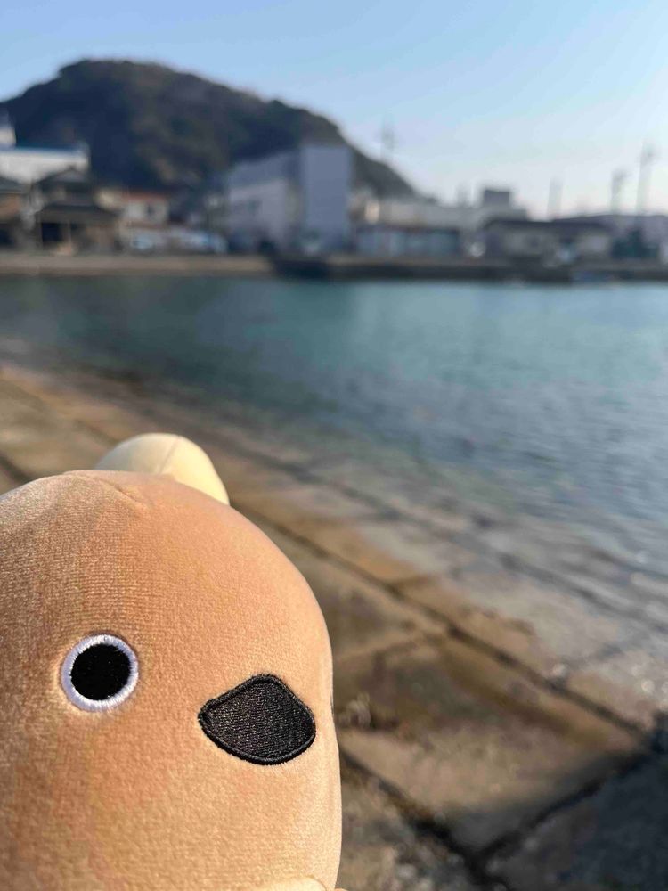 みんなでおでかけしたよー！でんしゃも乗ったよ！うみもみにいったよ！おかぜがつよすぎるよー！とばされるかとおもったよー！