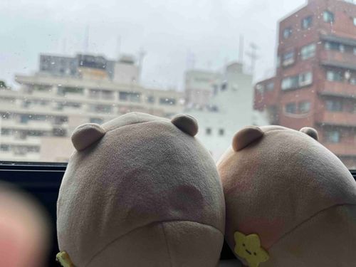 とかいだねー！
あめだねー！