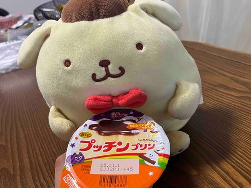 ボクポムポムプリン🍮ごしゅじんさまのプリンといっしょにきねんさつえいしたよ！