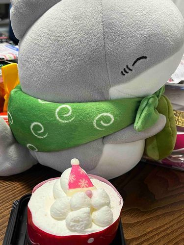 きのうは僕の主人のたんじょうびだったこざ。
とてもおいしいケーキをたべたこざ