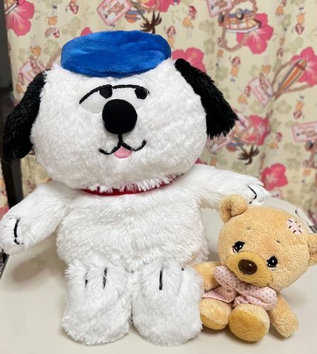 あるじがだいすきなドクター🩺がきゅうににじのはし🌈に行っちゃったんだー。
だから、せんせーにそっくりなぬいをみつけて🎁おかあさんにプレゼントしてきたよ。
ふなっしーがすきな、おもしろいせんせーだったんだぁ❣️
