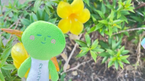 もーとおいめ👀になってきたよー🌈