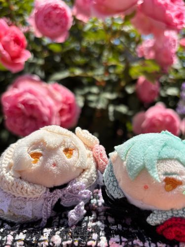 きょうは おちびたちが おでかけしていたよ
すてきなけーぷをきて きれいなばらをみてきたそうだよ
たくさんのしゅるいがあって いろとりどりのばらが さいていたんだって