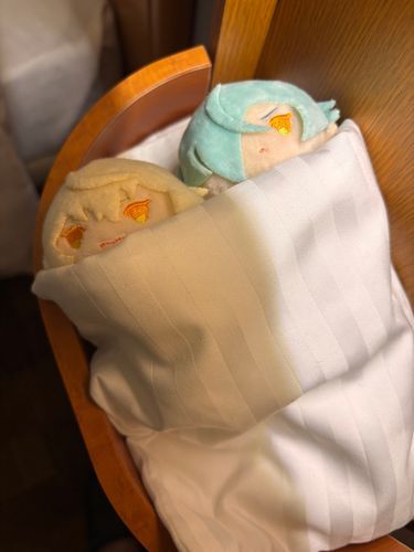 おはよう いいあさだね