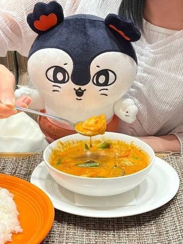 おいしい辛みでした🍛

(まんなかしなもん：
もちぬしがお迎えしてきたあたらしいかぞく！セイレーンちゃんていうんだもん！)