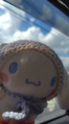 おぼんやすみ、おわっちゃったんだもん〜૮ ◞   ̫ ◟ ა
おやすみしてたけど、ただいまだもん！
みんなのしゃしんもみるんだもん૮ ෆ  ̫ ෆ ა