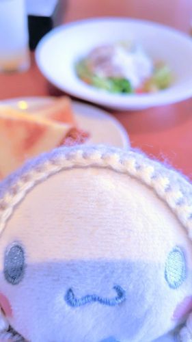 えっ！？ちかすぎる！？
でもちかいのがすきなんだもん૮ ˃̵ ֊  ˂̵ ა