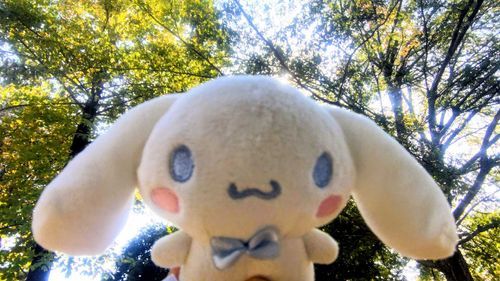 とってもいいおてんき！あついくらい！
こもれびってきらきらですてきだなあ૮₍  ᴗ  ̫ ᴗ  ₎ა