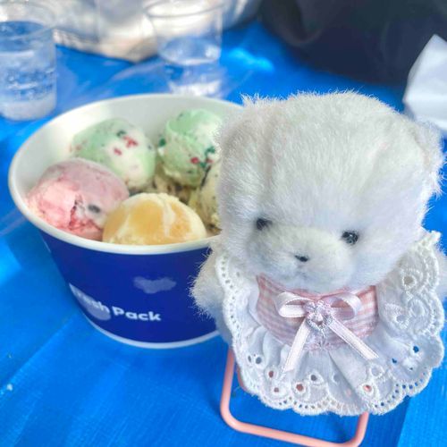 お外でみんなの夢を叶えてきましたよ