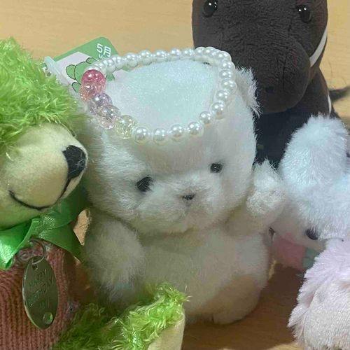 他のおうちのぬいぐるみさんと話すの緊張しすぎちゃった…どの写真見ても表情がかたい…みんな優しくて仲良くなれたけど、、