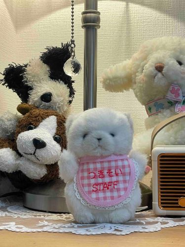 家にいるお友達たちに囲まれて記念写真撮ったよ、ポーズ決まってる？