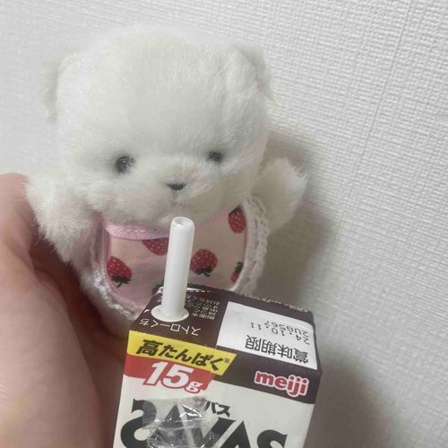 風が吹いても倒れない強いからだを手に入れるんだ！！がんばるぞ！！