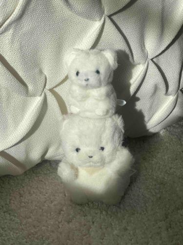 なんと！わたしに弟子ができました！