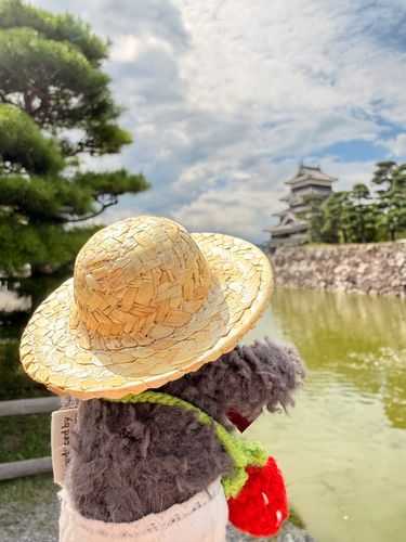 あついよー！
みんな水分ちゃんと取るんだよ！

ぼくは松本城に遊びにきたよ✨
