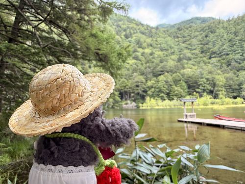 今日もあつい中お疲れさま！

ぼくは自分が住んでる地域があついから
夏でも涼しいところに来たよ✨

上高地の明神池っていうんだって！
知ってる？
ここまで来るのにたーっくさん歩いたのに
川の音や、木漏れ日や、たまに吹く心地いい風が
とっても気持ちよかったよ💕

