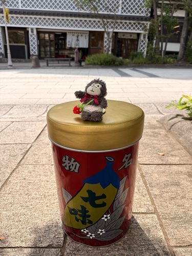 こんにちは✨️

七味唐辛子が有名なお店に行ってきたよ！
外には座れる七味唐辛子の缶があって
ぼくも座って来たよ🌶
