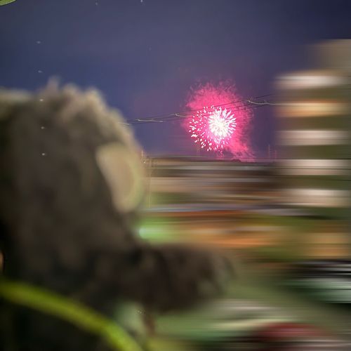 花火をみたよー！
とってもキレイだった✨