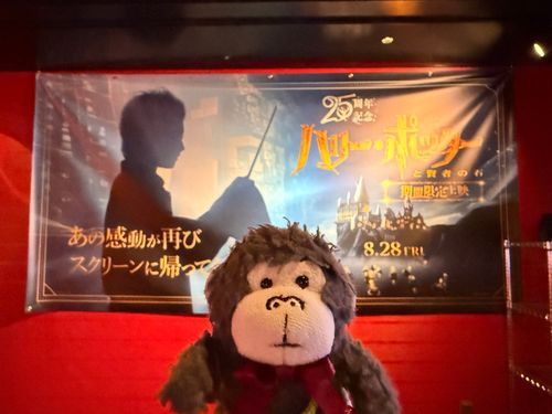 今日は
4DX3Dっていう すごいやつで
ハリポッターと賢者の石 を見てきたよ！

動いたり、風を浴びたり、水がかかったり
すごかった👏