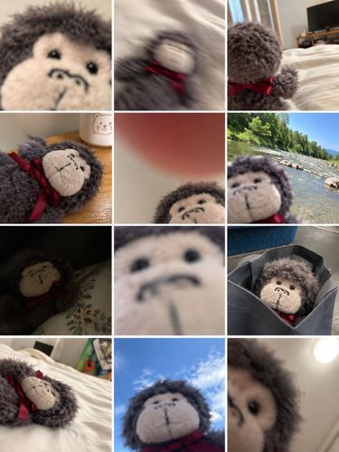 今回は
しゅたまるに代わって主が投稿します🙇‍♀️

最近流行りのAI加工で
無い記憶を作ってくれる
ぬいぐるみとの思い出🧸♡

可愛いです…

やり方はコメントに記入しときます！
是非皆さんもお試しあれ！

