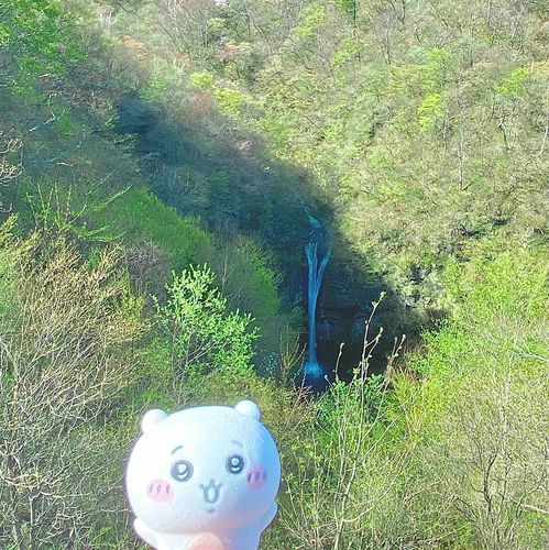 奥に滝がある！大自然🌳🌲🍃🕊️