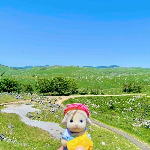 秋吉台とってもきれいだった🍃
⭐︎旅行の思い出⭐︎