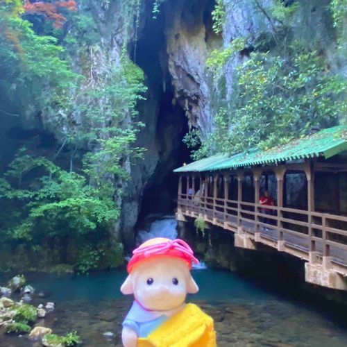 秋芳洞入り口！とてもきれいな場所でした🌲🍃🌤️⭐︎旅行の思い出⭐︎