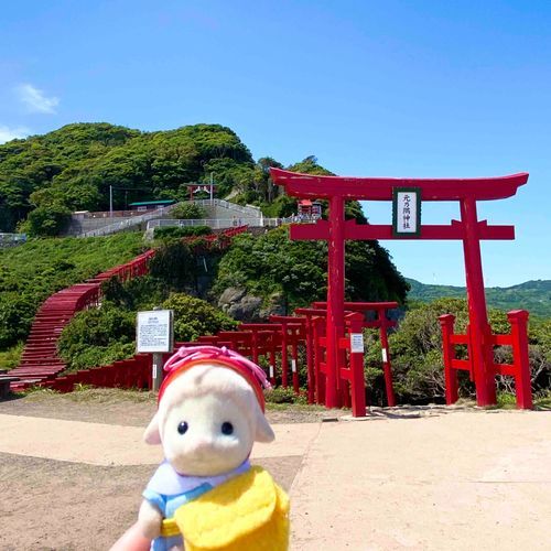 鳥居がたくさん⛩️すごいね！
⭐︎旅行の思い出⭐︎