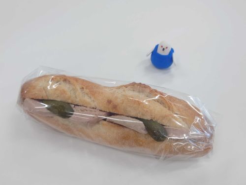 ランチタイムだﾎﾟ