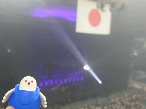 離婚伝説のライブに行ったｯﾎﾟ!
歌声がとてもメロかったﾎﾟ🪩